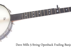 Dave Mills Frailing Banjo 5-String Openback, 2018 Full Front View