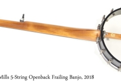 Dave Mills Frailing Banjo 5-String Openback, 2018 Full Rear View