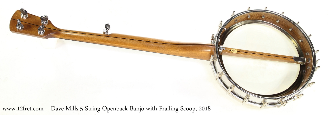 Dave Mills 5-String Openback Banjo with Frailing Scoop, 2018   Full Rear View