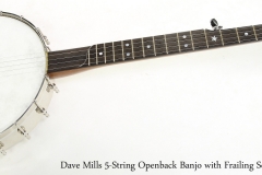 Dave Mills 5-String Openback Banjo with Frailing Scoop, 2018   Full Front View