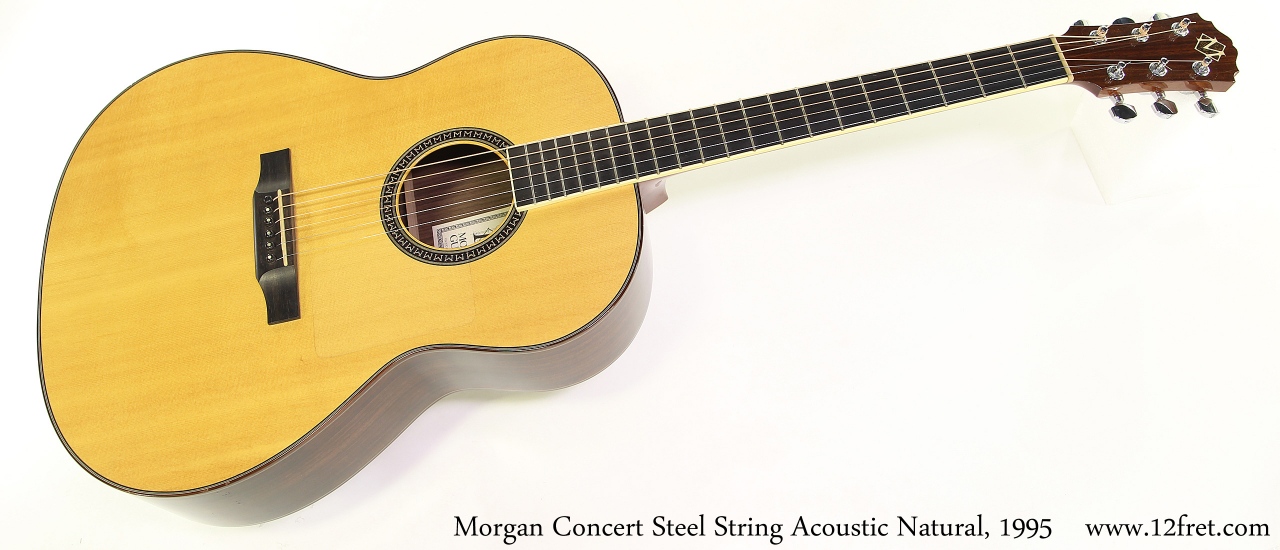 Morgan Concert Steel String Acoustic Natural, 1995 Full Front View