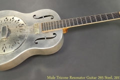 Mule Tricone Resonator Guitar 293 Steel, 2017 Full Front View