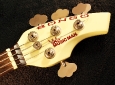 musicman_bongo_head_front_1