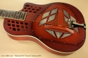 National M1 Tricone Cutaway 2013 top