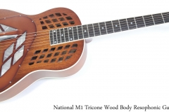 National M-1 Tricone Wood Body Resophonic Guitar Full Front View