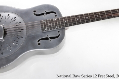National Raw Steel 12 Fret Reso-Phonic Guitar, 2020 Full Front View