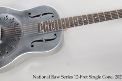 National Raw Series 12-Fret Single Cone, 2021 Full Front View