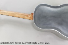 National Raw Series 12-Fret Single Cone, 2021 Full Rear View