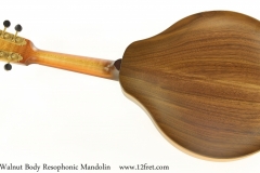 National RM1-E Walnut Body Resophonic Mandolin Full Rear View
