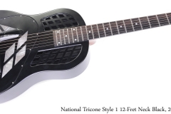 National Tricone Style 1 12-Fret Neck Black, 2000s Full Front View