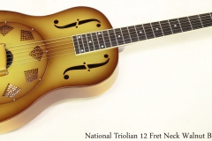 National Triolian 12 Fret Neck Walnut Burst    Full Front View