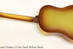 National Triolian 12 Fret Neck Walnut Burst    Full Rear VIew