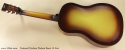 National Triolian Walnut Burst 12-Fret full rear view