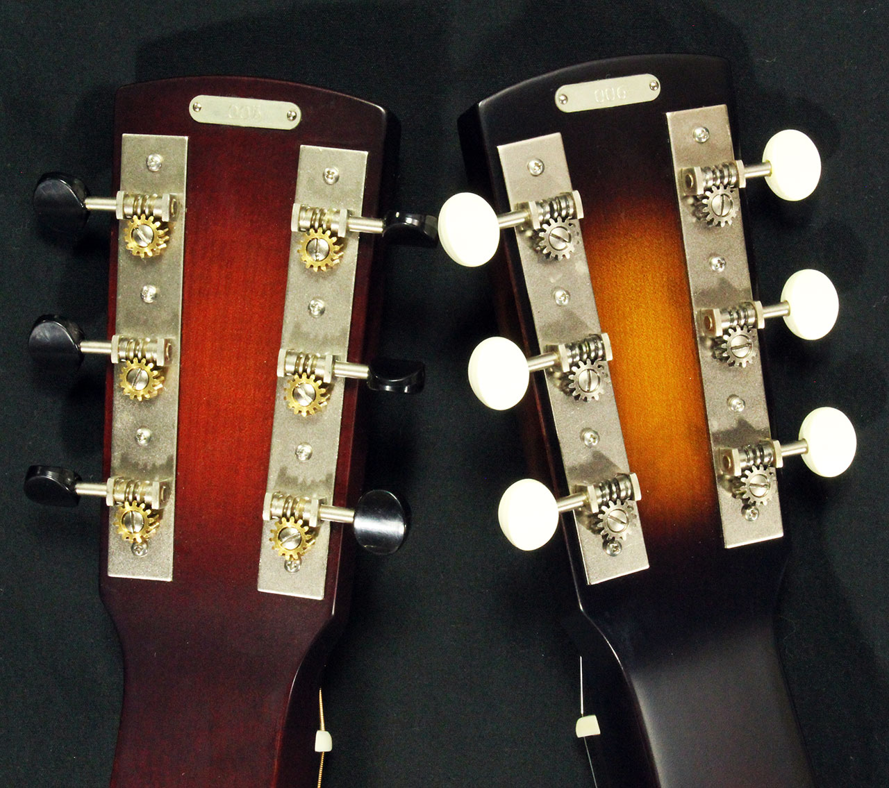 National_smith_and_young_squarenecks_heads_rear_1