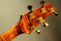 Nechville_XXV_cocobolo_head_rear_1