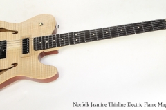 Norfolk Jasmine Thinline Electric Flame Maple, 2018   Full Front View