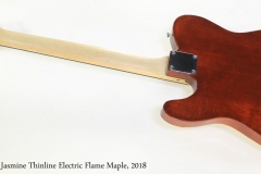 Norfolk Jasmine Thinline Electric Flame Maple, 2018   Full Rear View