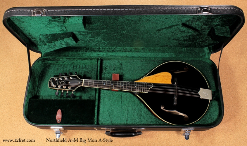 Northfield A-Style A5M Big Mon mandolin case open front view