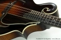 Northfield NF F5S Mandolin pickguard