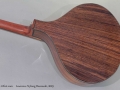 Lawrence Nyberg Bouzouki 2003 back