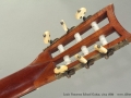 Louis Panormo School Guitar circa 1830 head rear