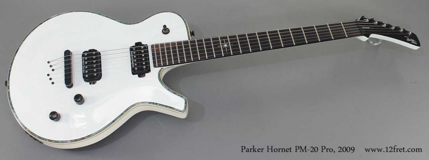 Parker Hornet PM-20 Pro 2009 full front view