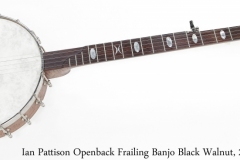 Ian Pattison Openback Frailing Banjo Black Walnut, 2021 Full Front View