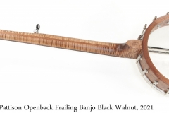 Ian Pattison Openback Frailing Banjo Black Walnut, 2021 Full Rear View