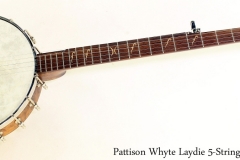 Pattison Whyte Laydie 5-String Banjo Full Front View