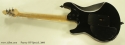 peavey-hp-special-2006-marg-cons-full-rear-1