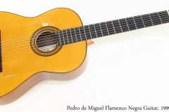 Pedro de Miguel Flamenco Negra Guitar, 1999 Full Front View