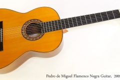 Pedro de Miguel Flamenco Negra Guitar,  2005 Full Front View