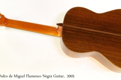 Pedro de Miguel Flamenco Negra Guitar,  2005 Full Rear View