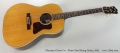 Planetary Guitar Co. Alamo Steel String Guitar, 2003 Full Front View