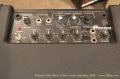 Polytone Mini-Brute II Jazz Guitar Amplifier, 2005 Control Panel View