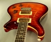 PRS-Custom-24-25th-cutaway-1