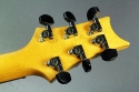 PRS_CE_22_grn_cons_head_rear_1