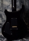 PRS_Cust_24_Black_Back