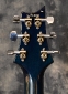 PRS_Custom24_10Top_Blue2011_Tuners