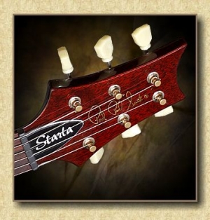 PRS_Starla_guitar_b