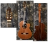 Raines_7-String_Classical