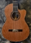 Raines_7-String_Classical_Top