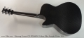 Rainsong Concert CO-WS1000N2 Carbon Fiber Acoustic Guitar, 2016 Full Rear View