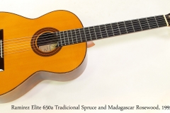 Ramirez Elite 650a Tradicional Spruce and Madagascar Rosewood, 1995 Full Front View