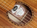 Rayco Hawaiian Weissenborn Style Guitar 2014 label