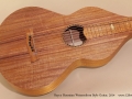 Rayco Hawaiian Weissenborn Style Guitar 2014 top