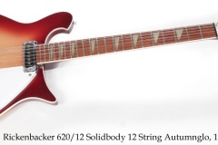 Rickenbacker 620/12 12 String Solidbody Autumnglo, 1993 Full Front View