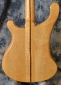 Rickenbacker_4001 bass_1976(C)_back detail