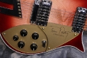 Rickenbacker_Tom-Petty_controls_detail