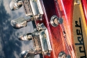 Rickenbacker_Tom-Petty_head_detail